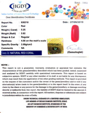 5.25/CT Natural Italian Moonga